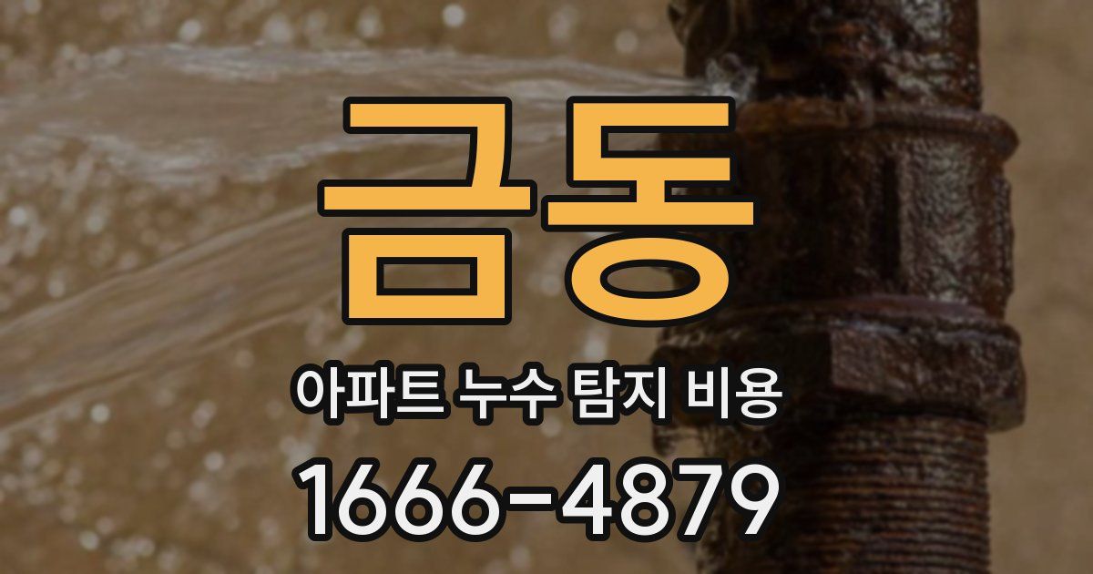 금동 아파트 누수 탐지 비용