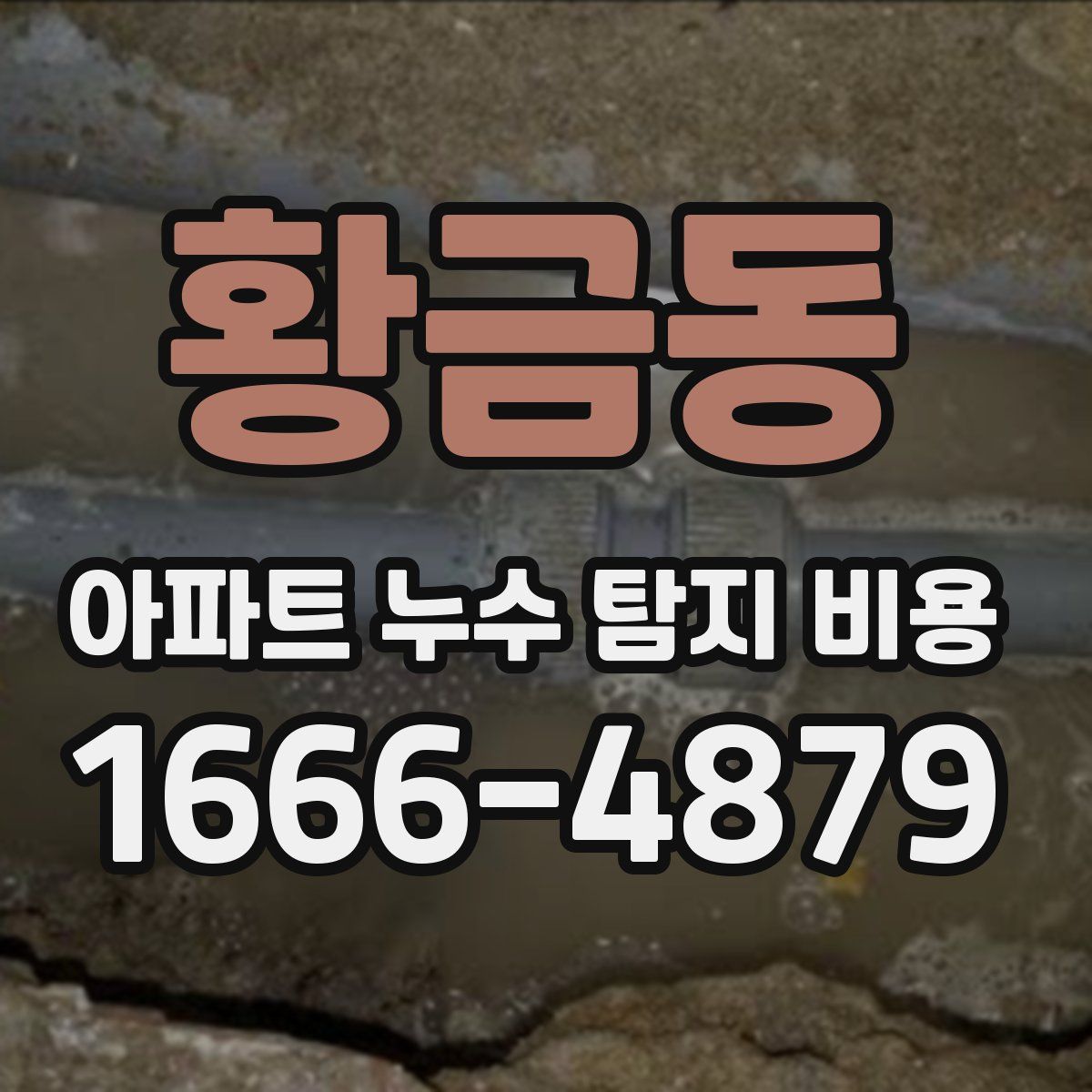 황금동 아파트 누수 탐지 비용