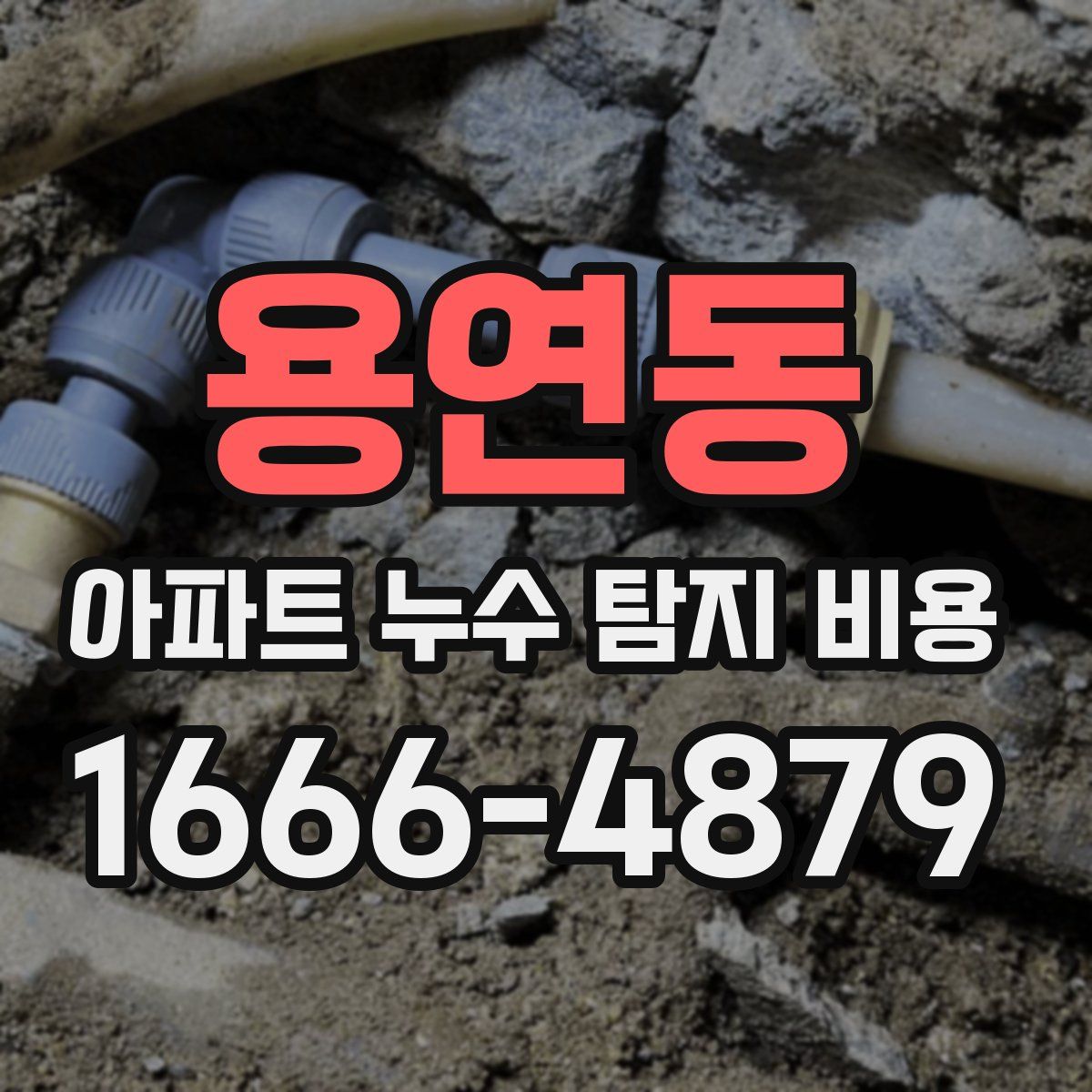 용연동 아파트 누수 탐지 비용