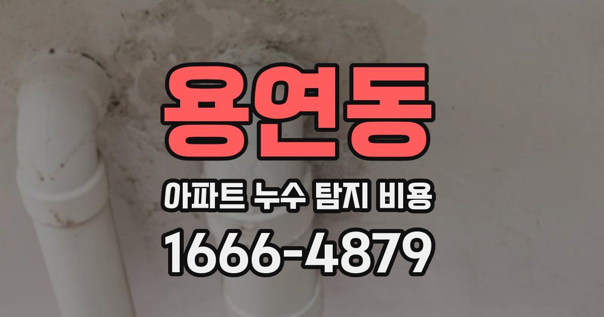 용연동 아파트 누수 탐지 비용