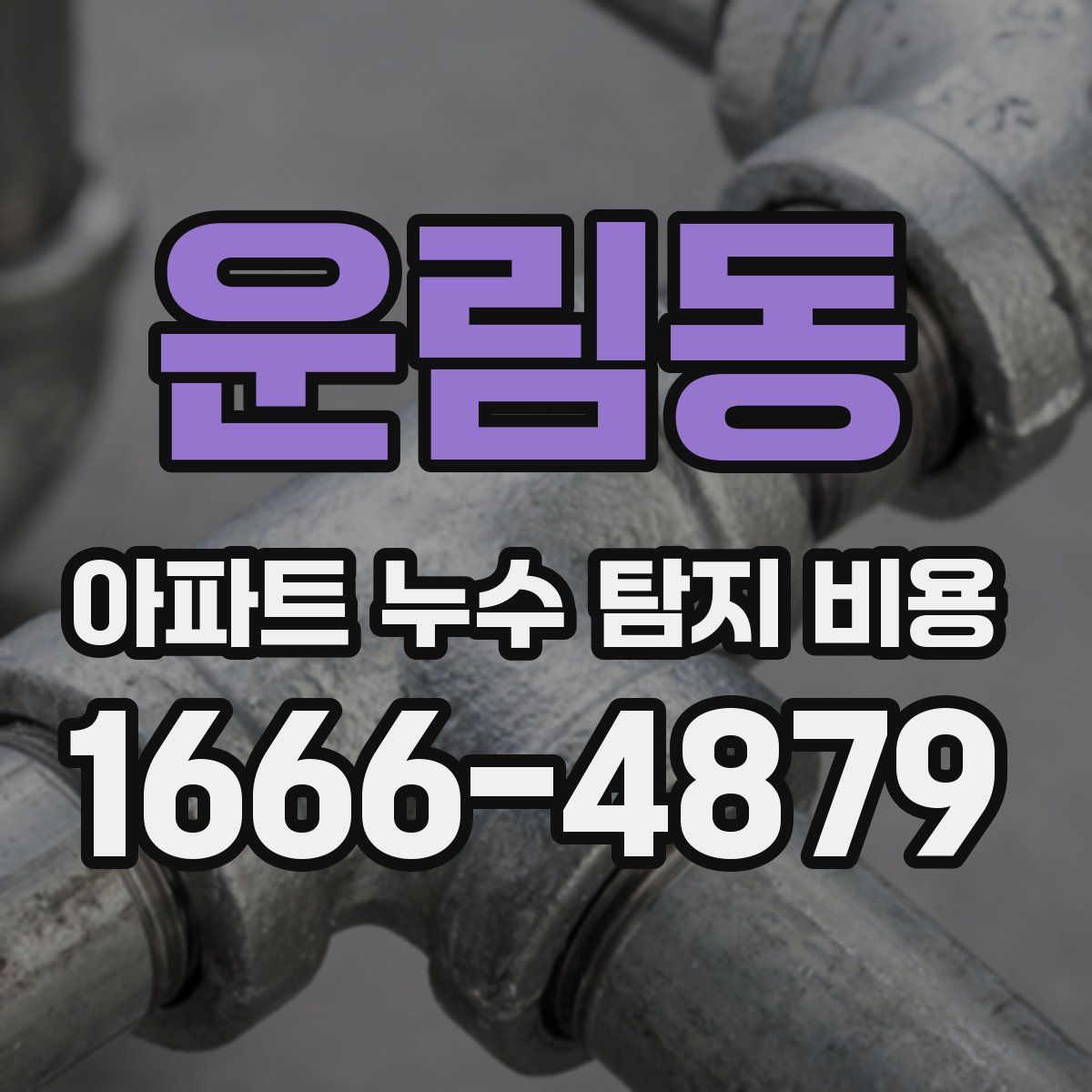 운림동 아파트 누수 탐지 비용