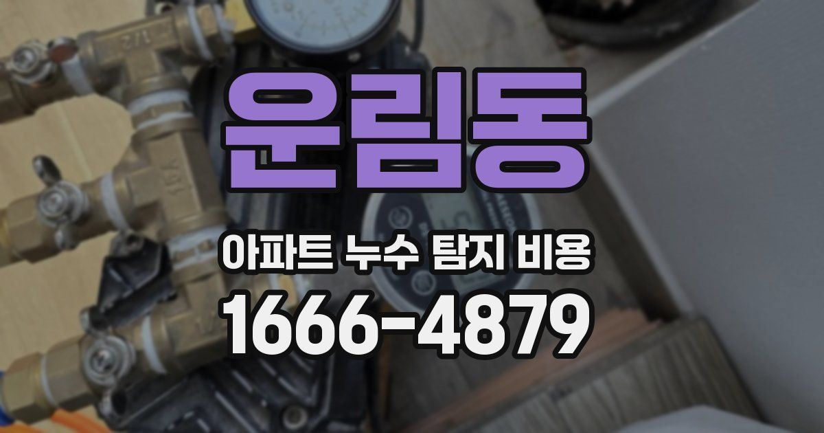 운림동 아파트 누수 탐지 비용