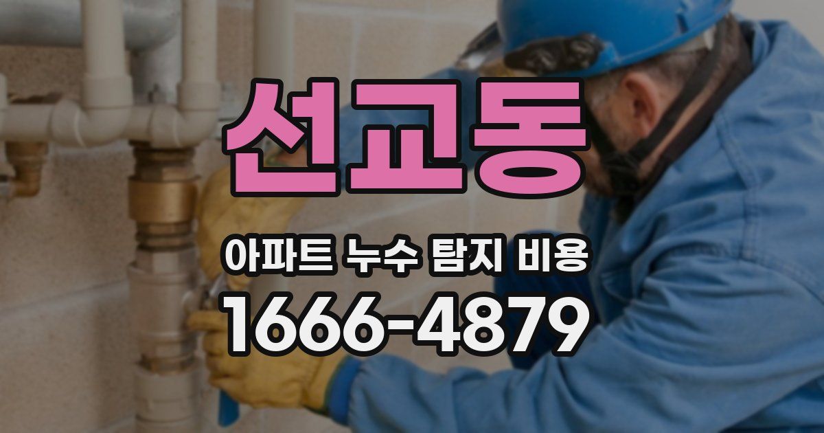 선교동 아파트 누수 탐지 비용