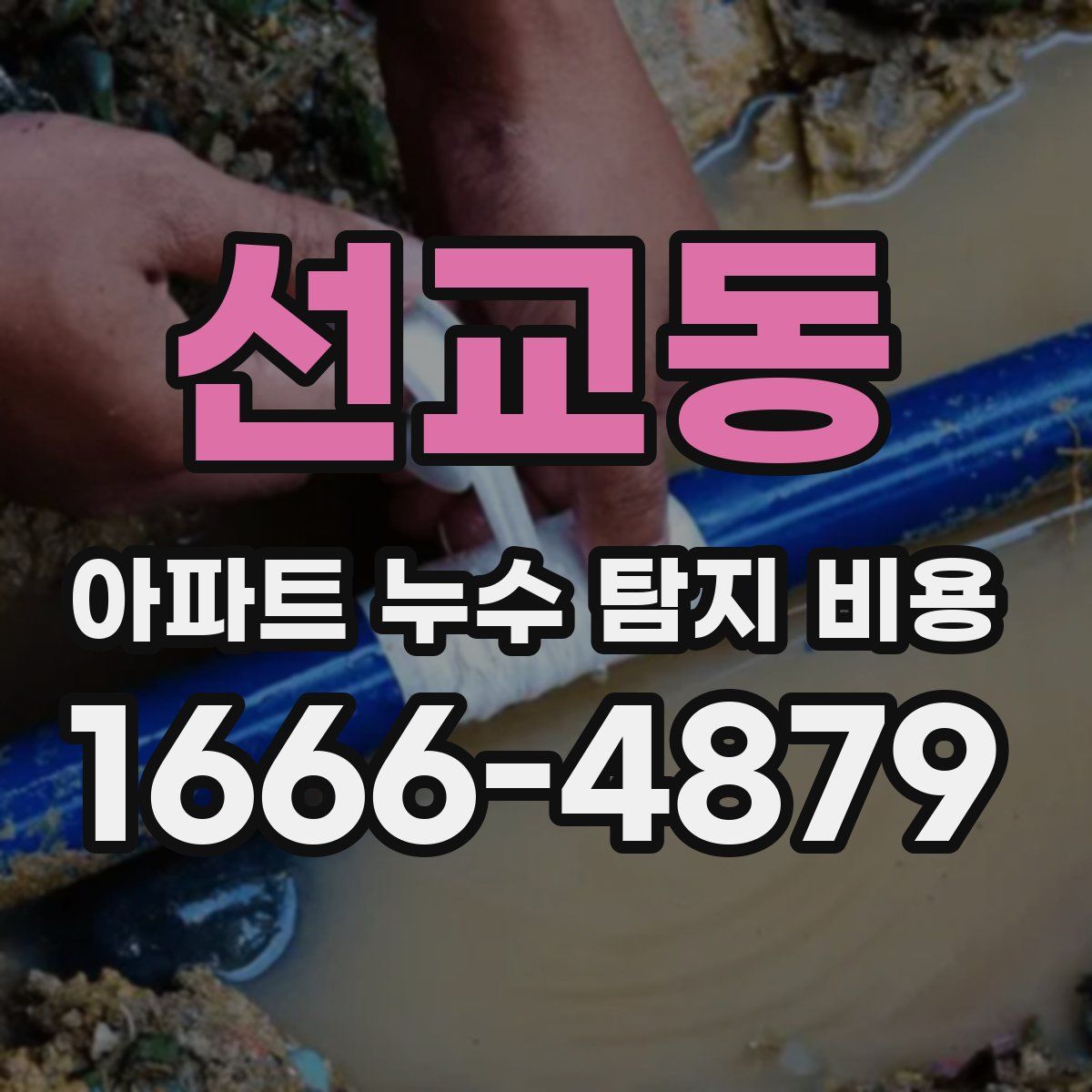 선교동 아파트 누수 탐지 비용