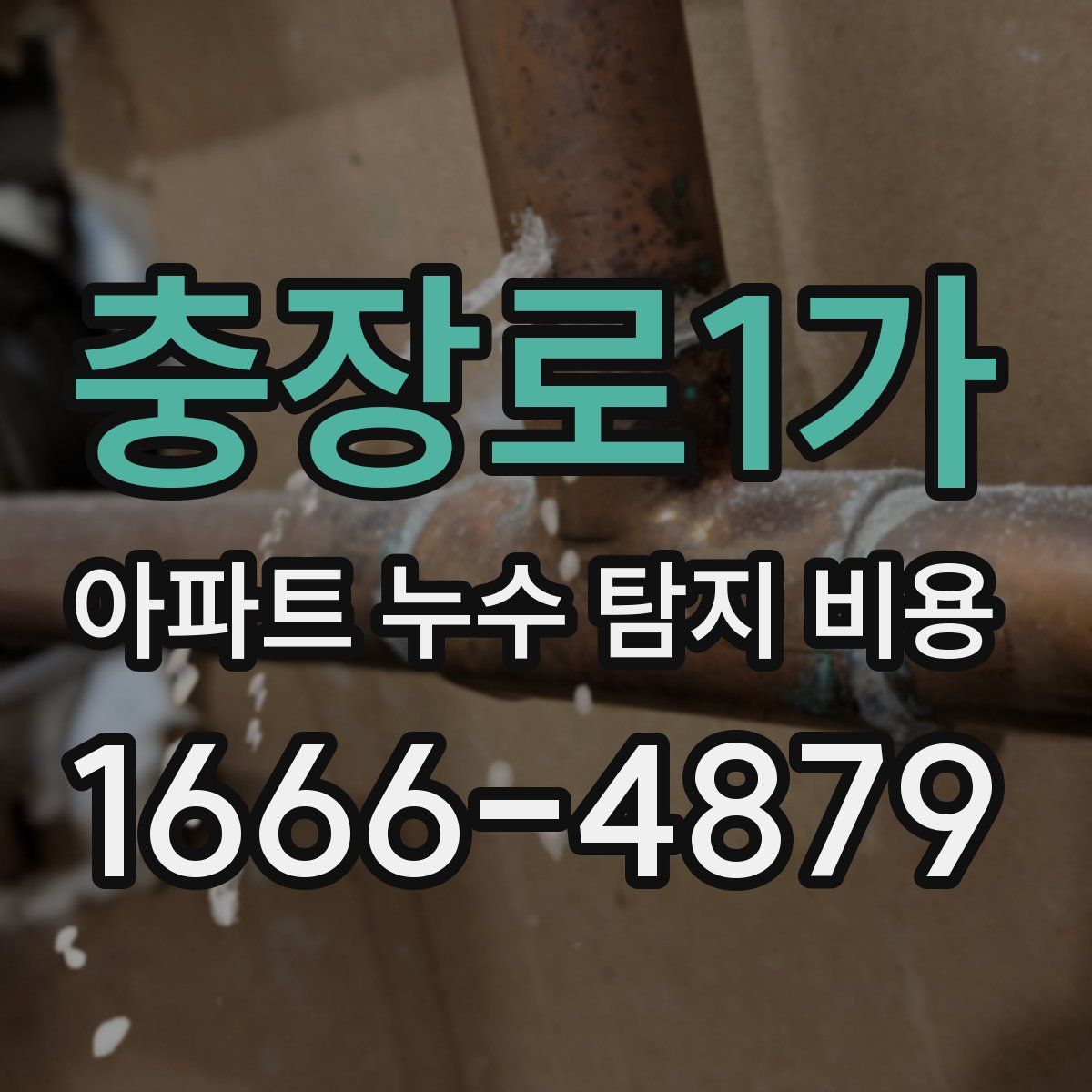 충장로1가 아파트 누수 탐지 비용