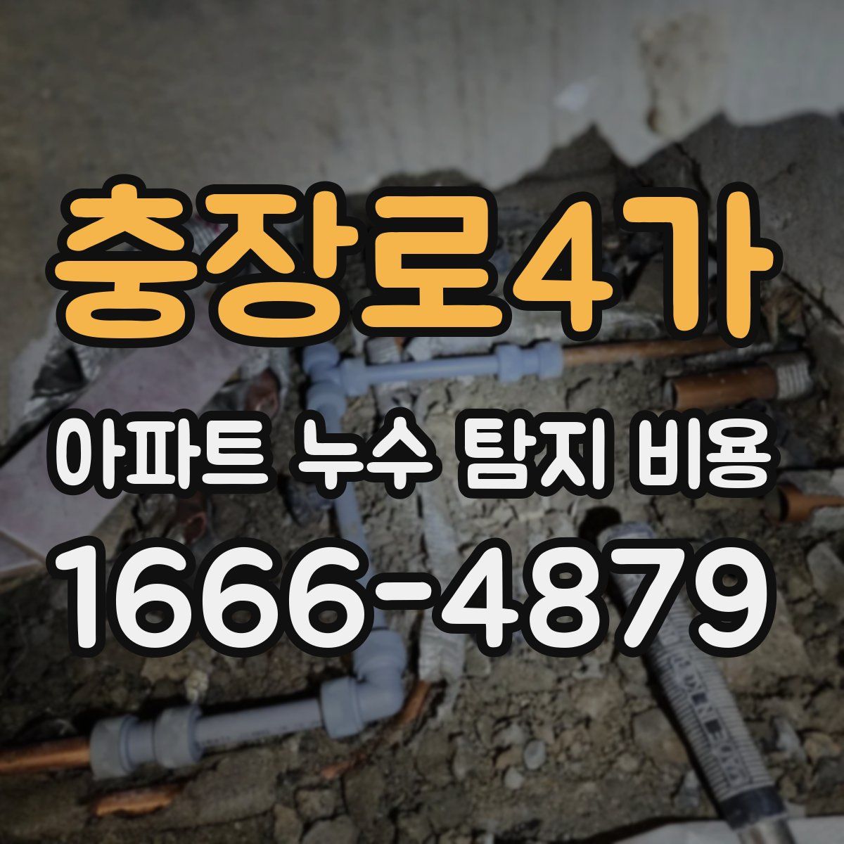 충장로4가 아파트 누수 탐지 비용