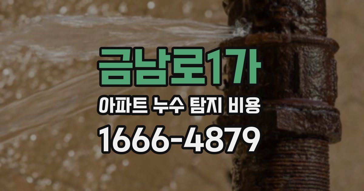 금남로1가 아파트 누수 탐지 비용