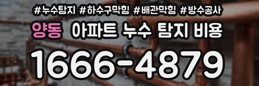 양동 아파트 누수 탐지 비용