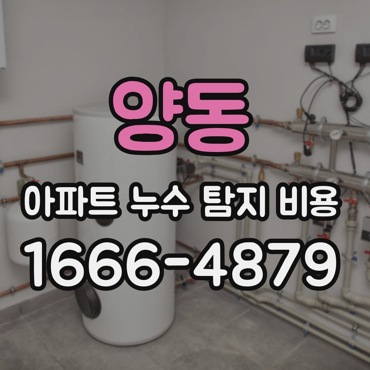 양동 아파트 누수 탐지 비용