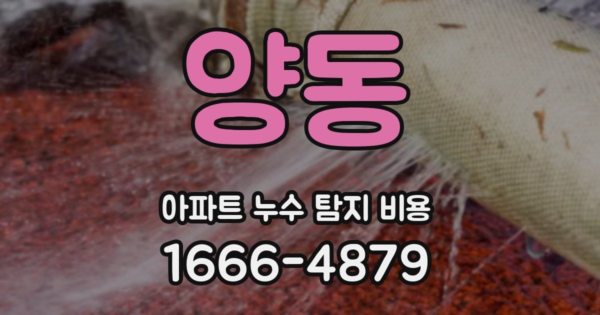 양동 아파트 누수 탐지 비용