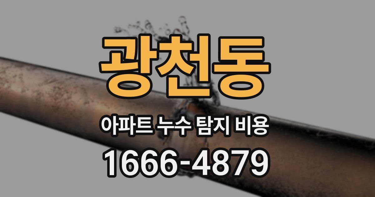 광천동 아파트 누수 탐지 비용