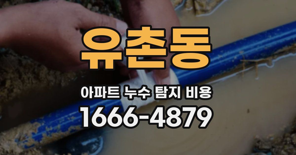 유촌동 아파트 누수 탐지 비용