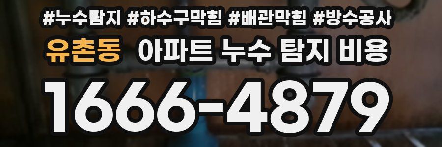 유촌동 아파트 누수 탐지 비용