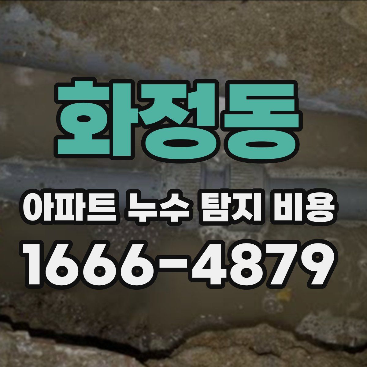 화정동 아파트 누수 탐지 비용