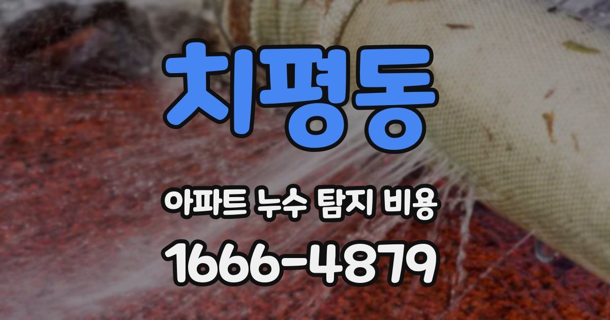 치평동 아파트 누수 탐지 비용