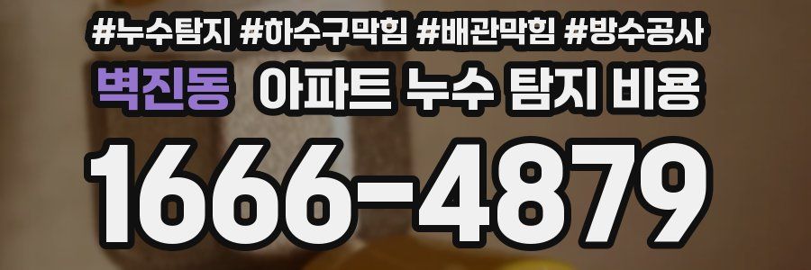 벽진동 아파트 누수 탐지 비용