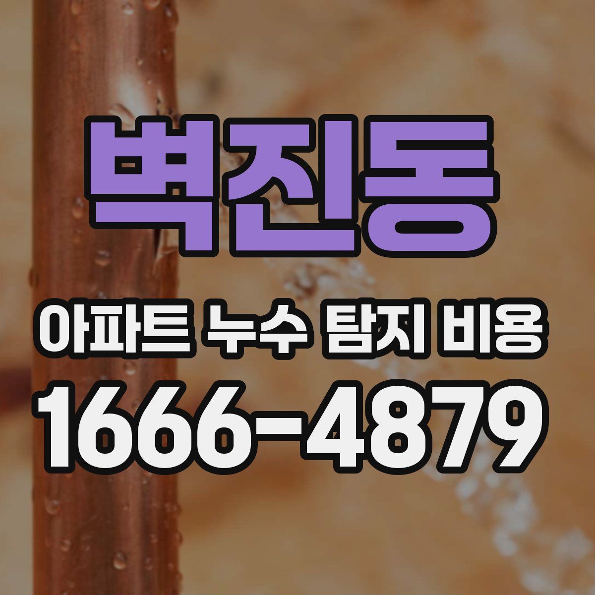 벽진동 아파트 누수 탐지 비용