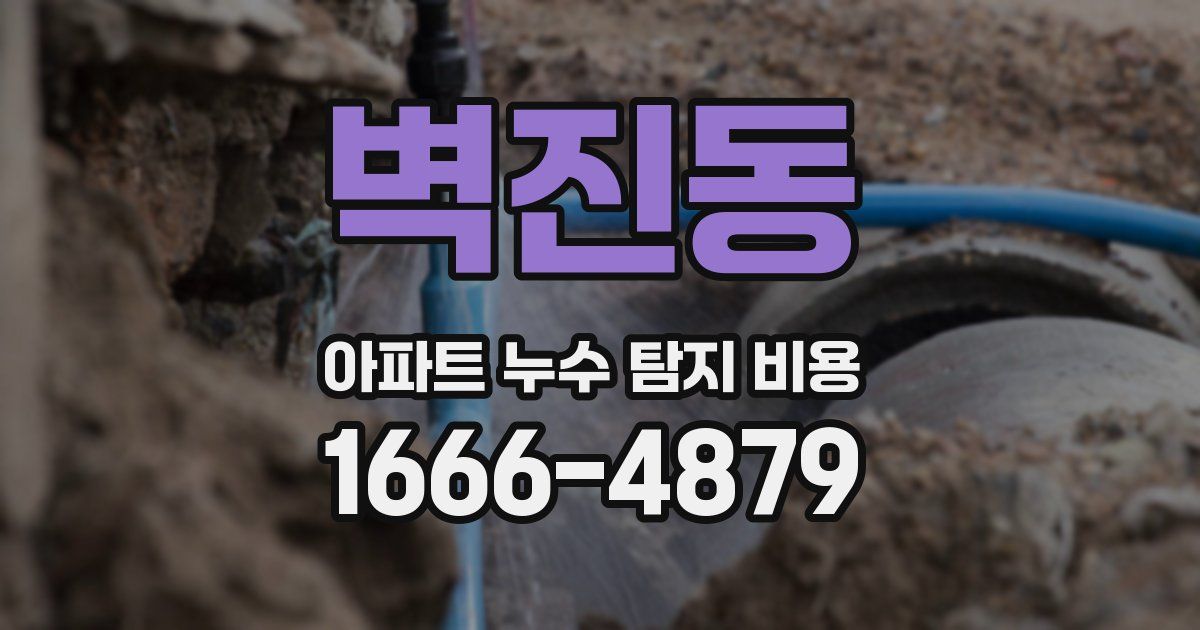 벽진동 아파트 누수 탐지 비용