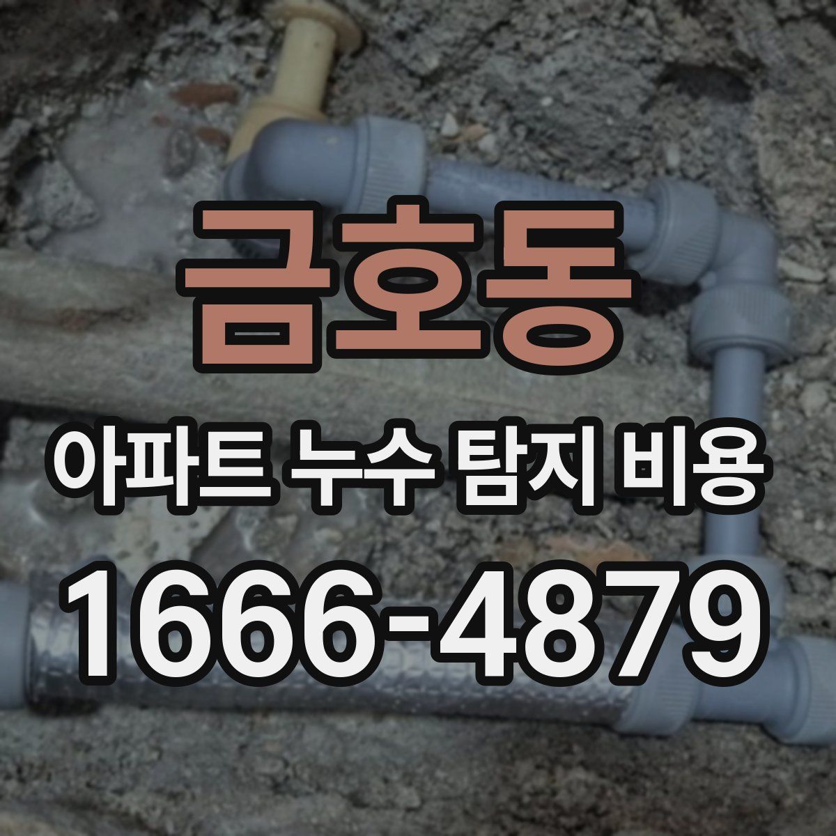 금호동 아파트 누수 탐지 비용