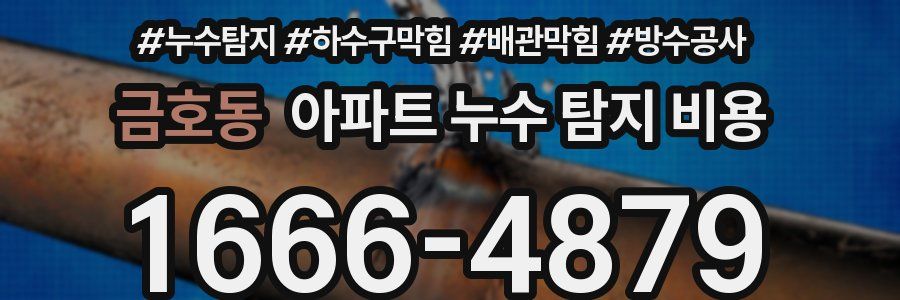 금호동 아파트 누수 탐지 비용