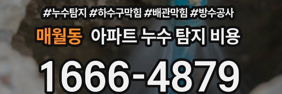 매월동 아파트 누수 탐지 비용