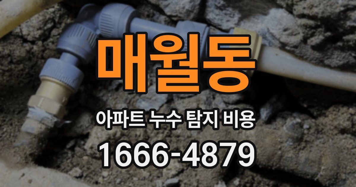 매월동 아파트 누수 탐지 비용