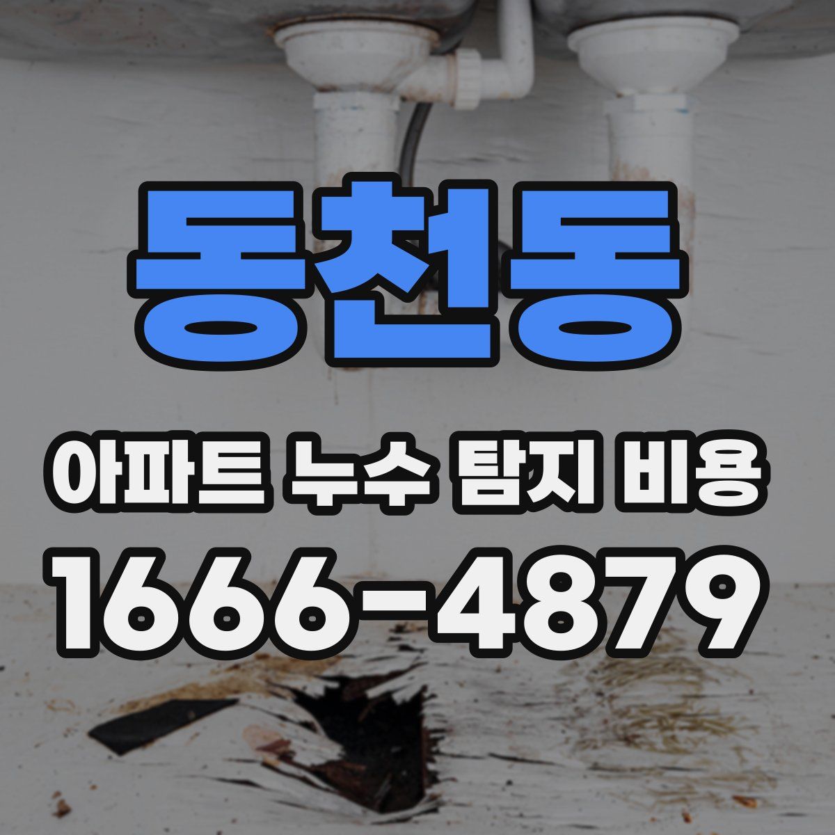 동천동 아파트 누수 탐지 비용