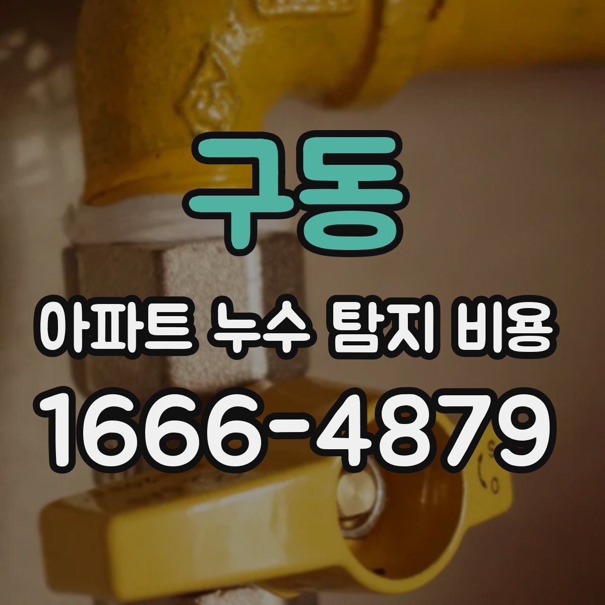 구동 아파트 누수 탐지 비용