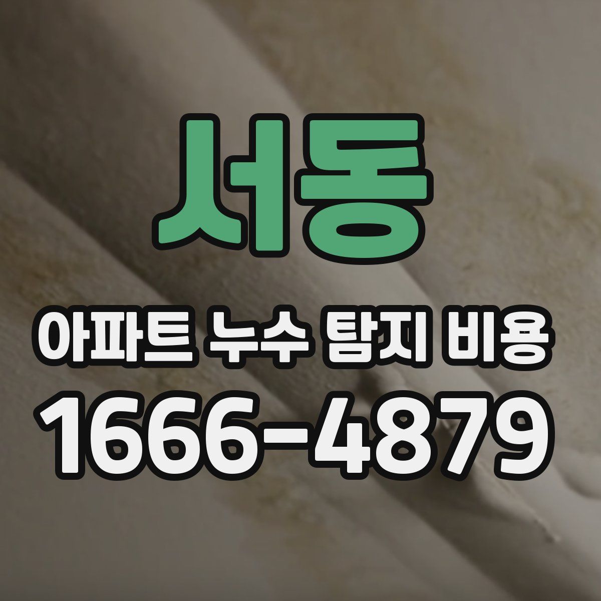 서동 아파트 누수 탐지 비용