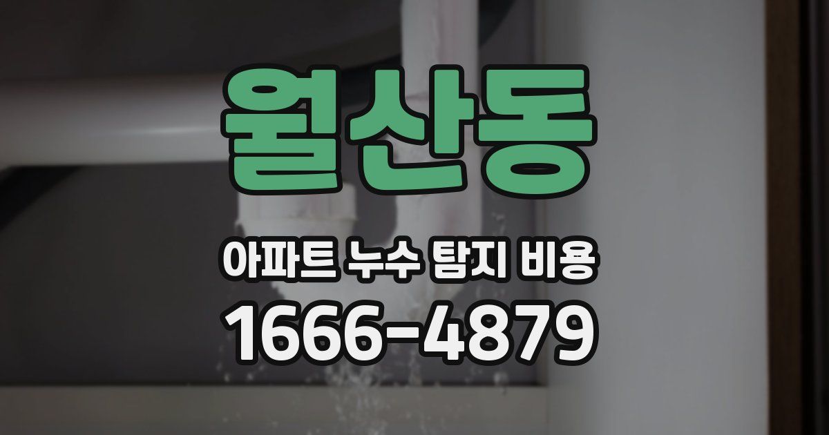 월산동 아파트 누수 탐지 비용