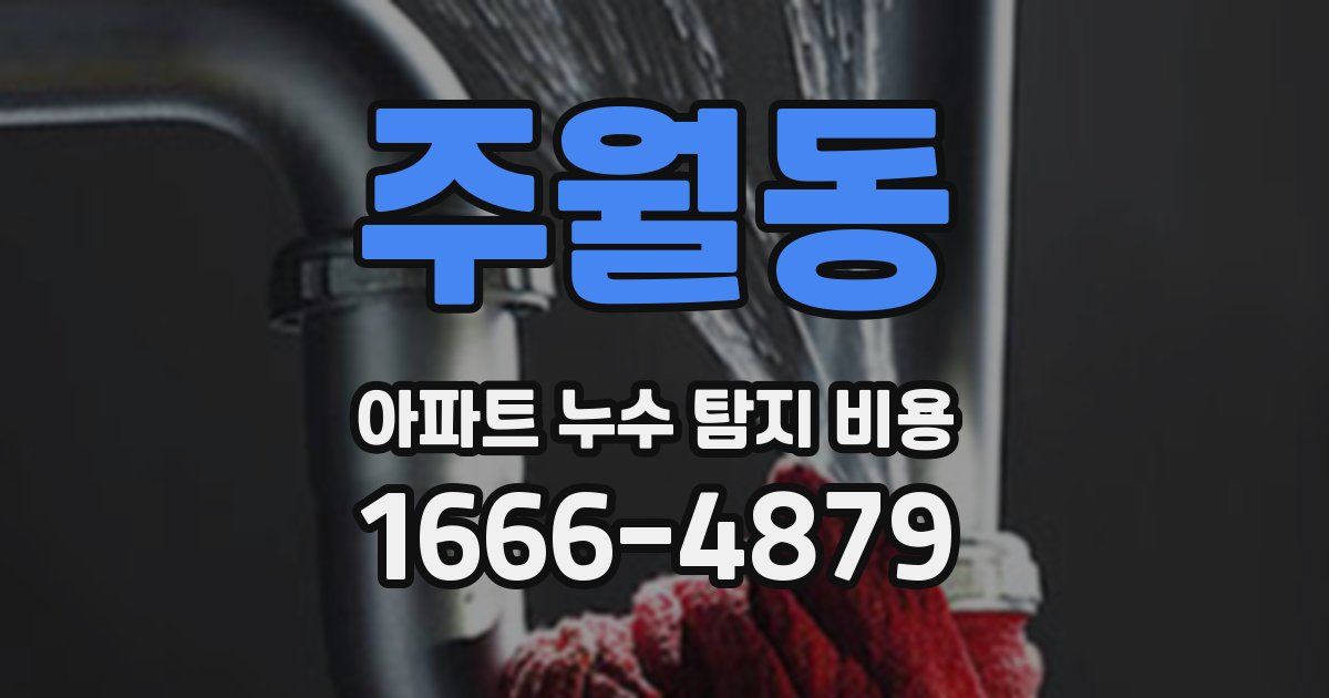 주월동 아파트 누수 탐지 비용