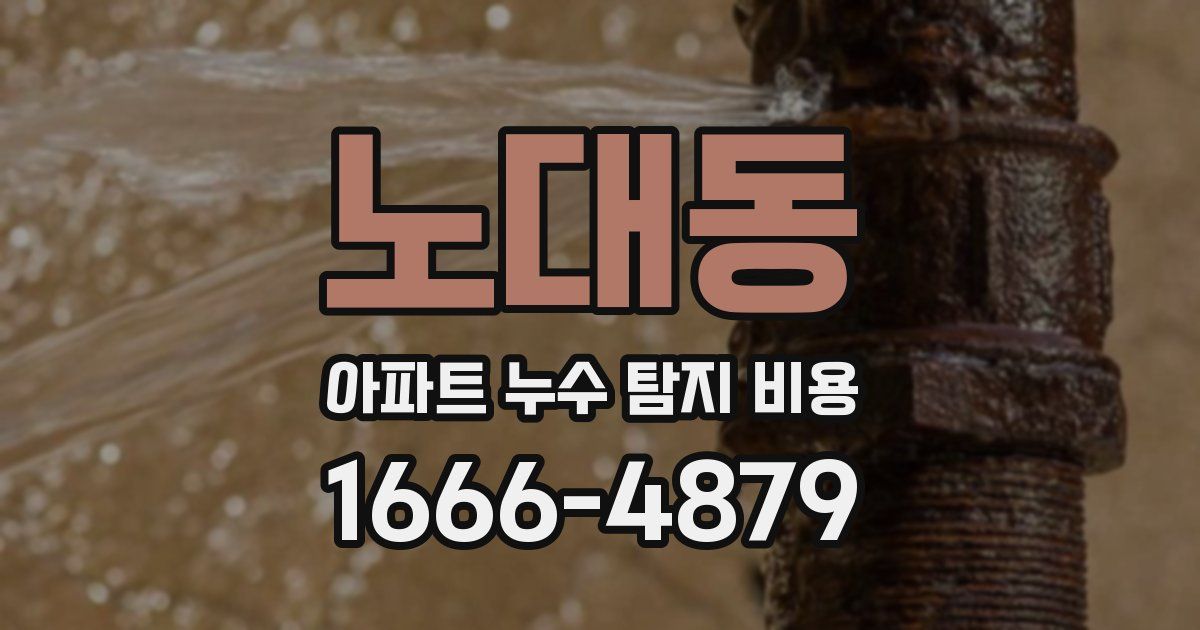 노대동 아파트 누수 탐지 비용