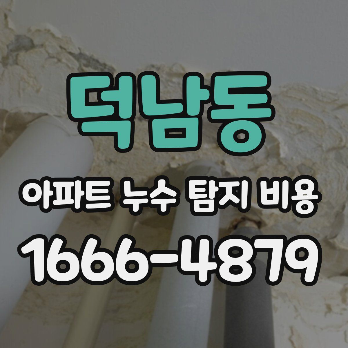 덕남동 아파트 누수 탐지 비용