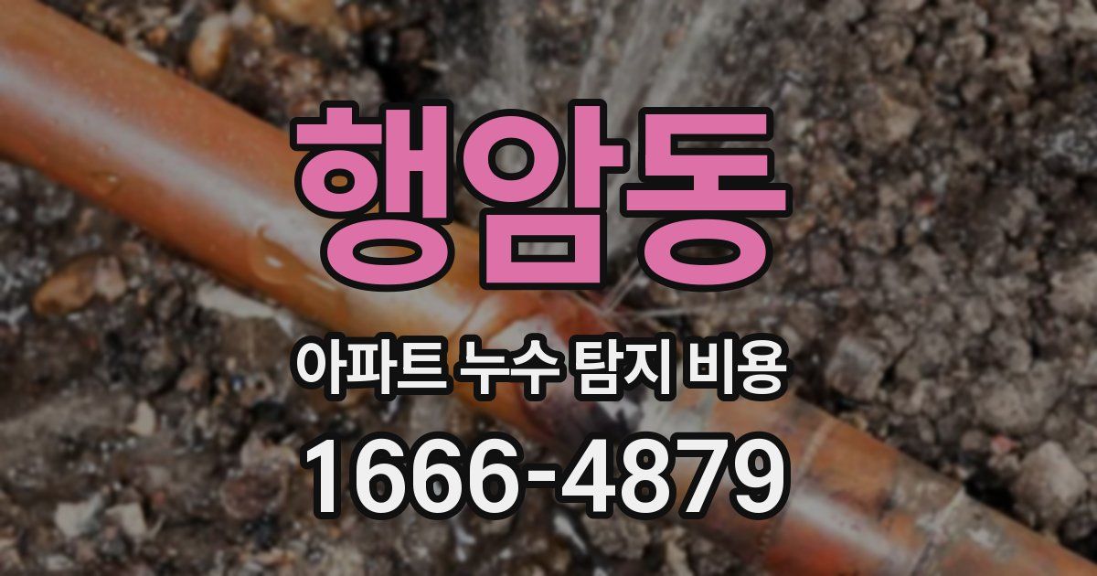 행암동 아파트 누수 탐지 비용
