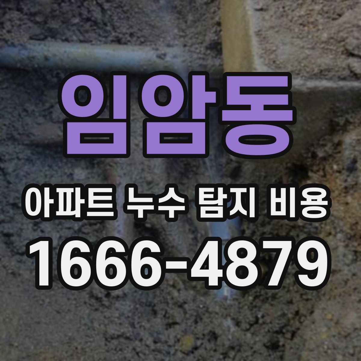 임암동 아파트 누수 탐지 비용