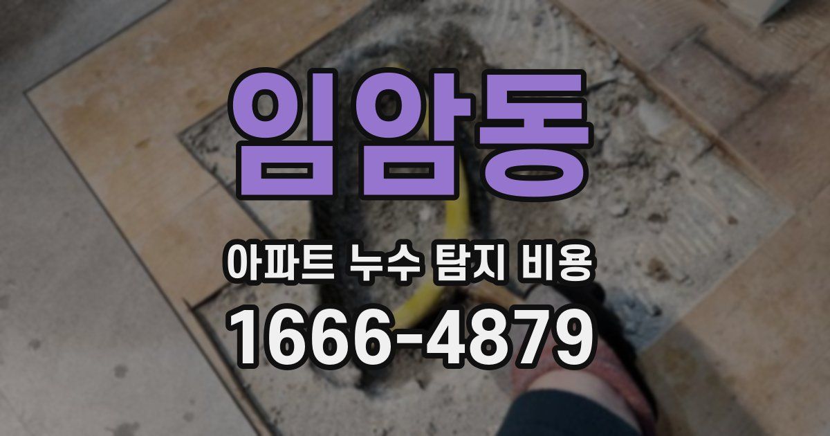 임암동 아파트 누수 탐지 비용