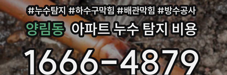 양림동 아파트 누수 탐지 비용
