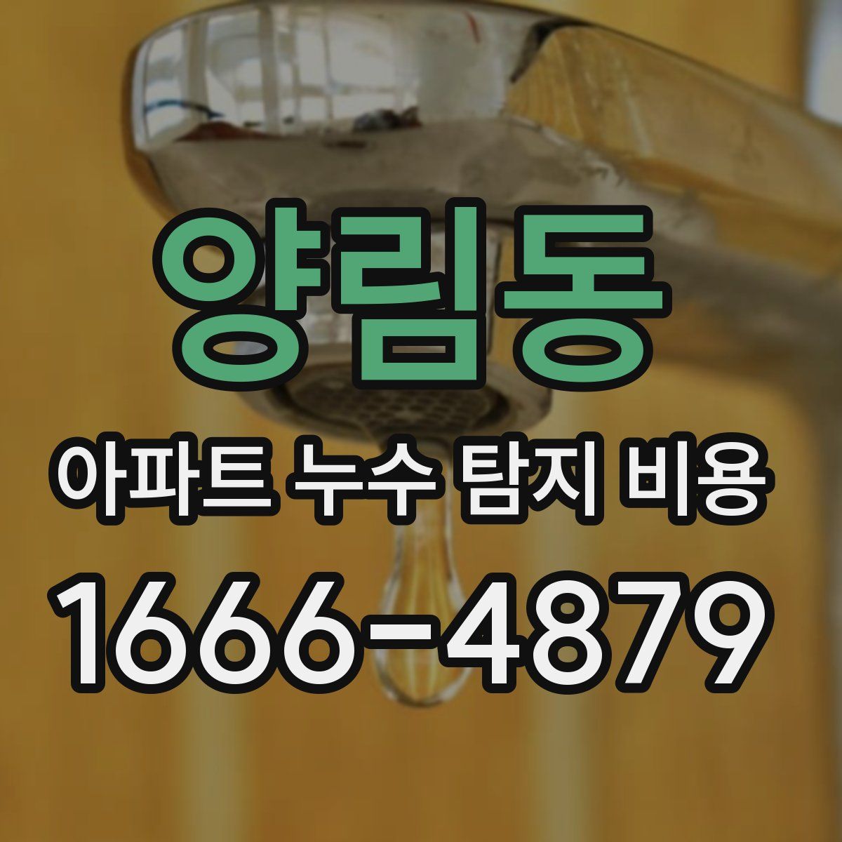 양림동 아파트 누수 탐지 비용