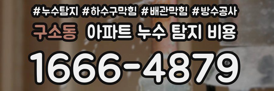 구소동 아파트 누수 탐지 비용