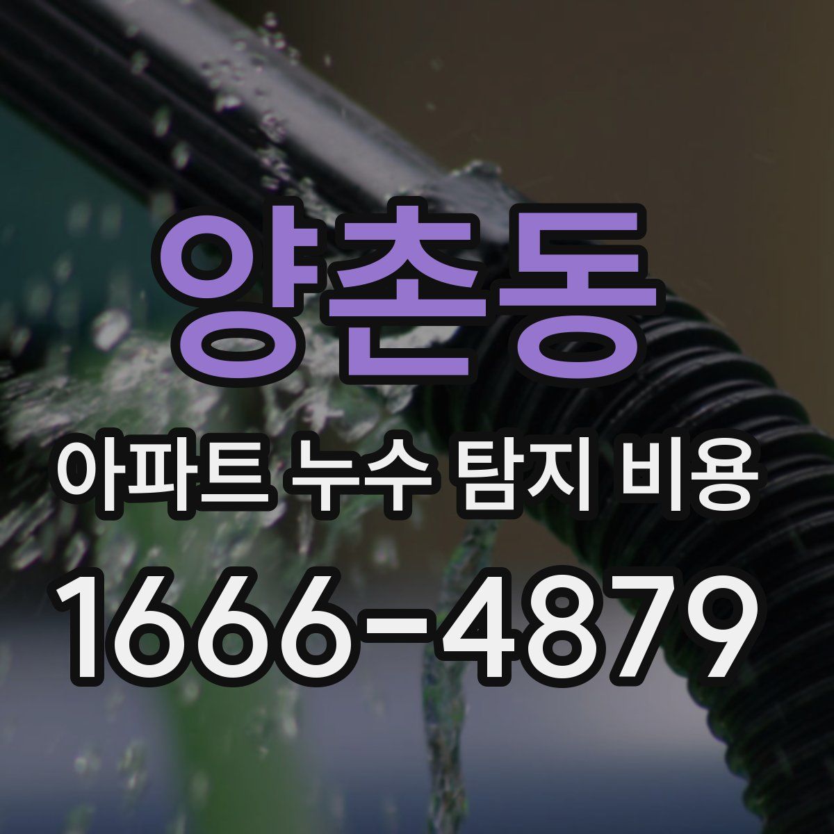 양촌동 아파트 누수 탐지 비용