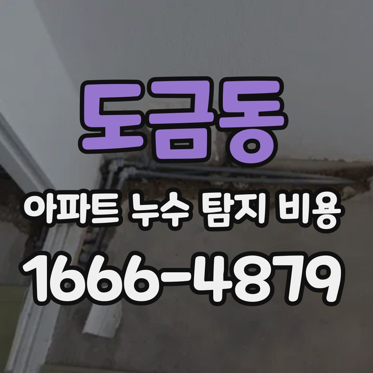도금동 아파트 누수 탐지 비용