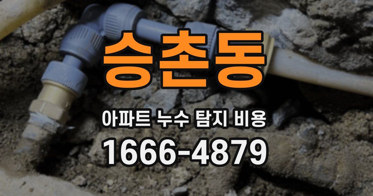 승촌동 아파트 누수 탐지 비용