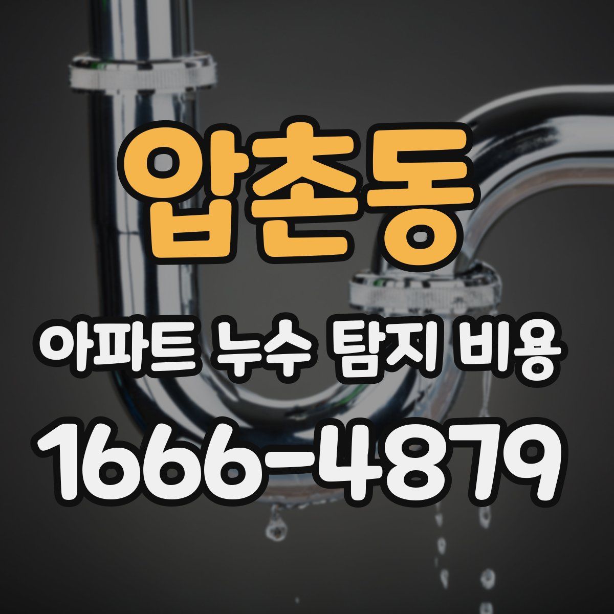 압촌동 아파트 누수 탐지 비용