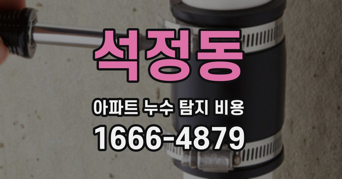 석정동 아파트 누수 탐지 비용