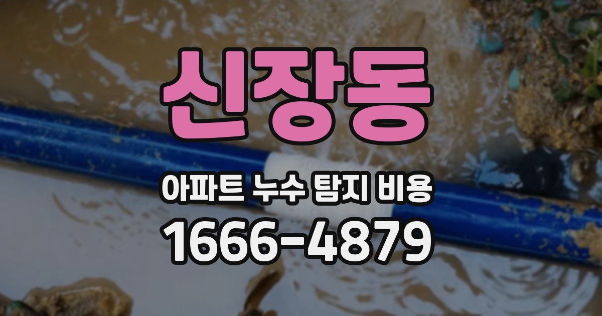 신장동 아파트 누수 탐지 비용