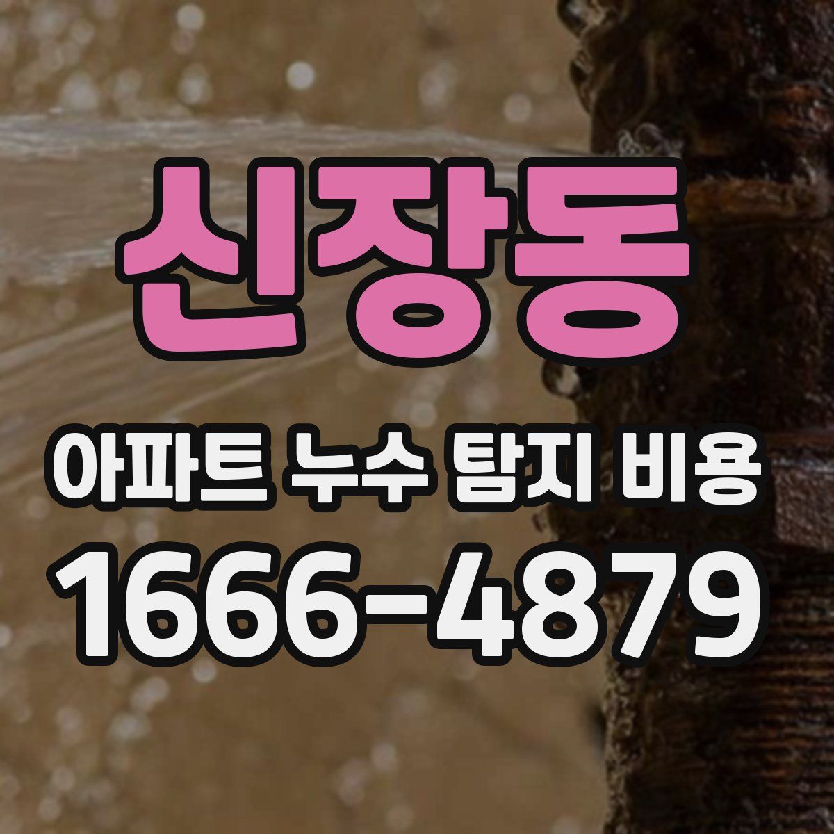 신장동 아파트 누수 탐지 비용