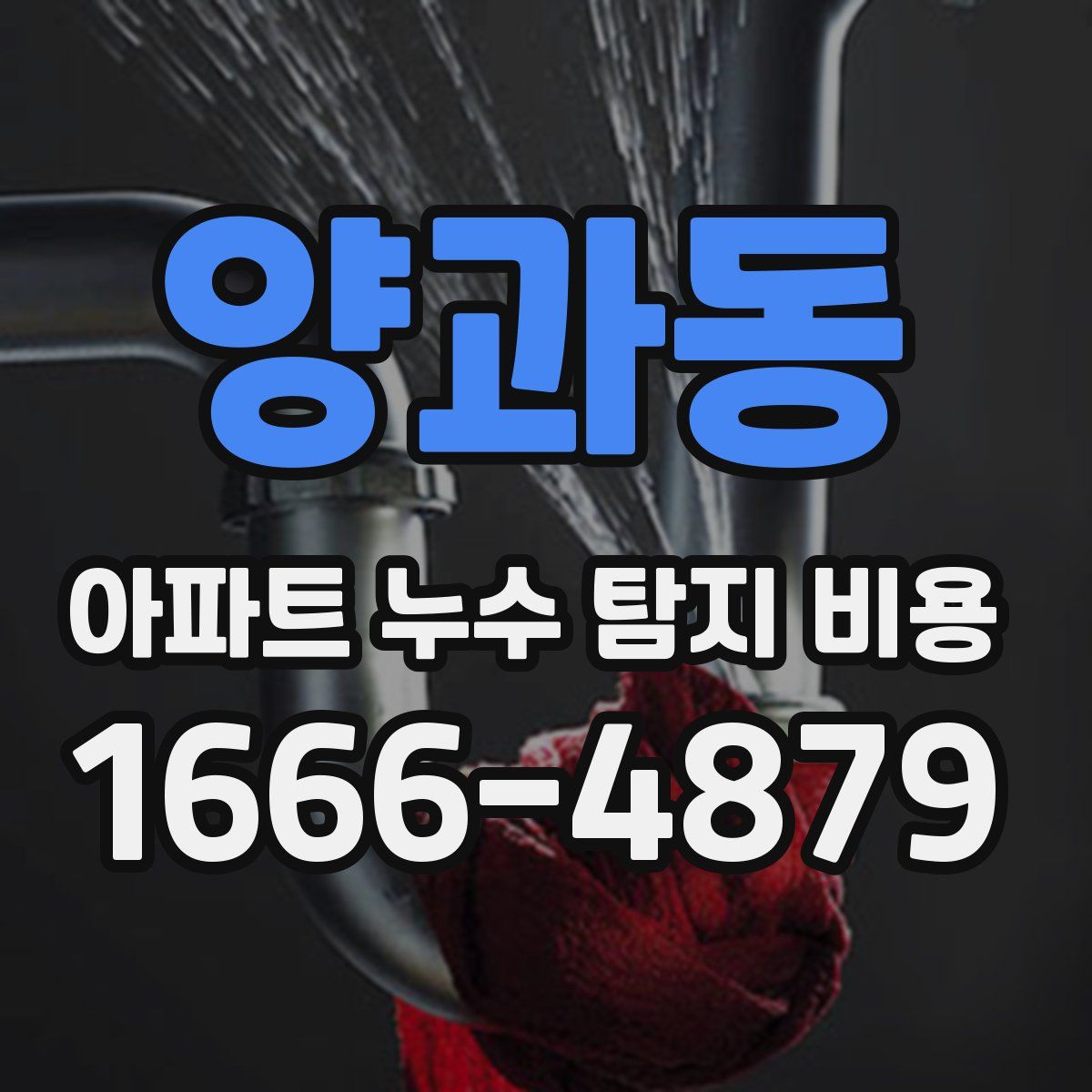 양과동 아파트 누수 탐지 비용