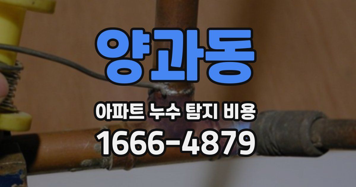 양과동 아파트 누수 탐지 비용