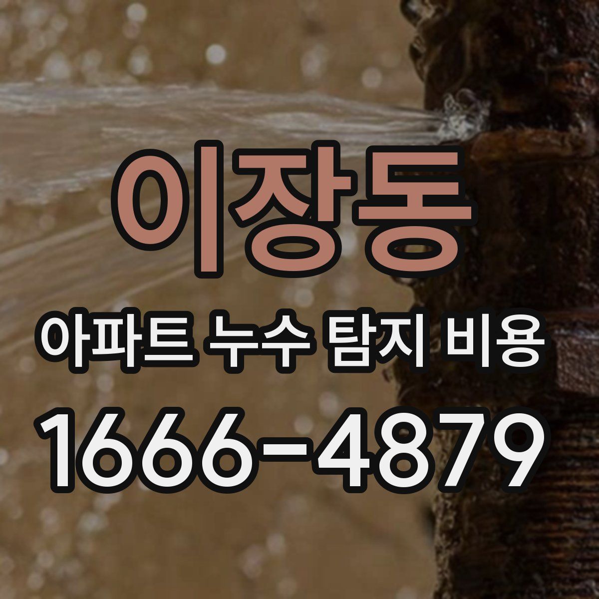 이장동 아파트 누수 탐지 비용