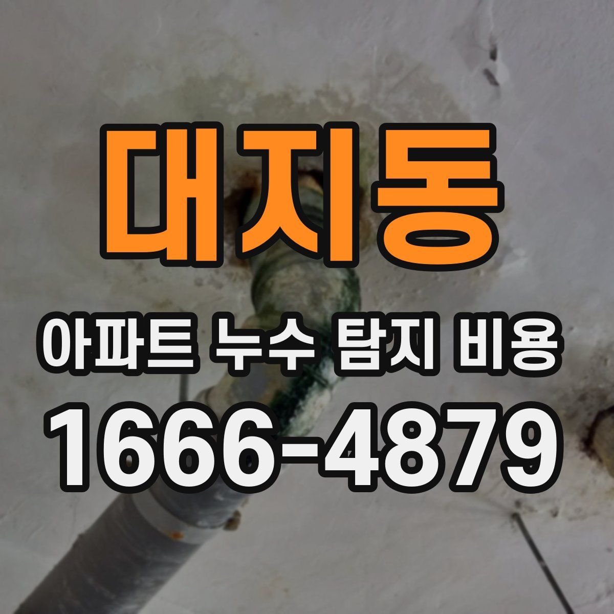 대지동 아파트 누수 탐지 비용
